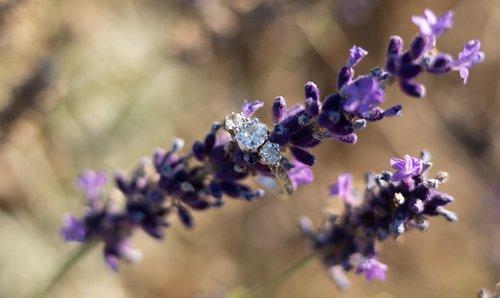 mobile - carousel-hero-element image-4