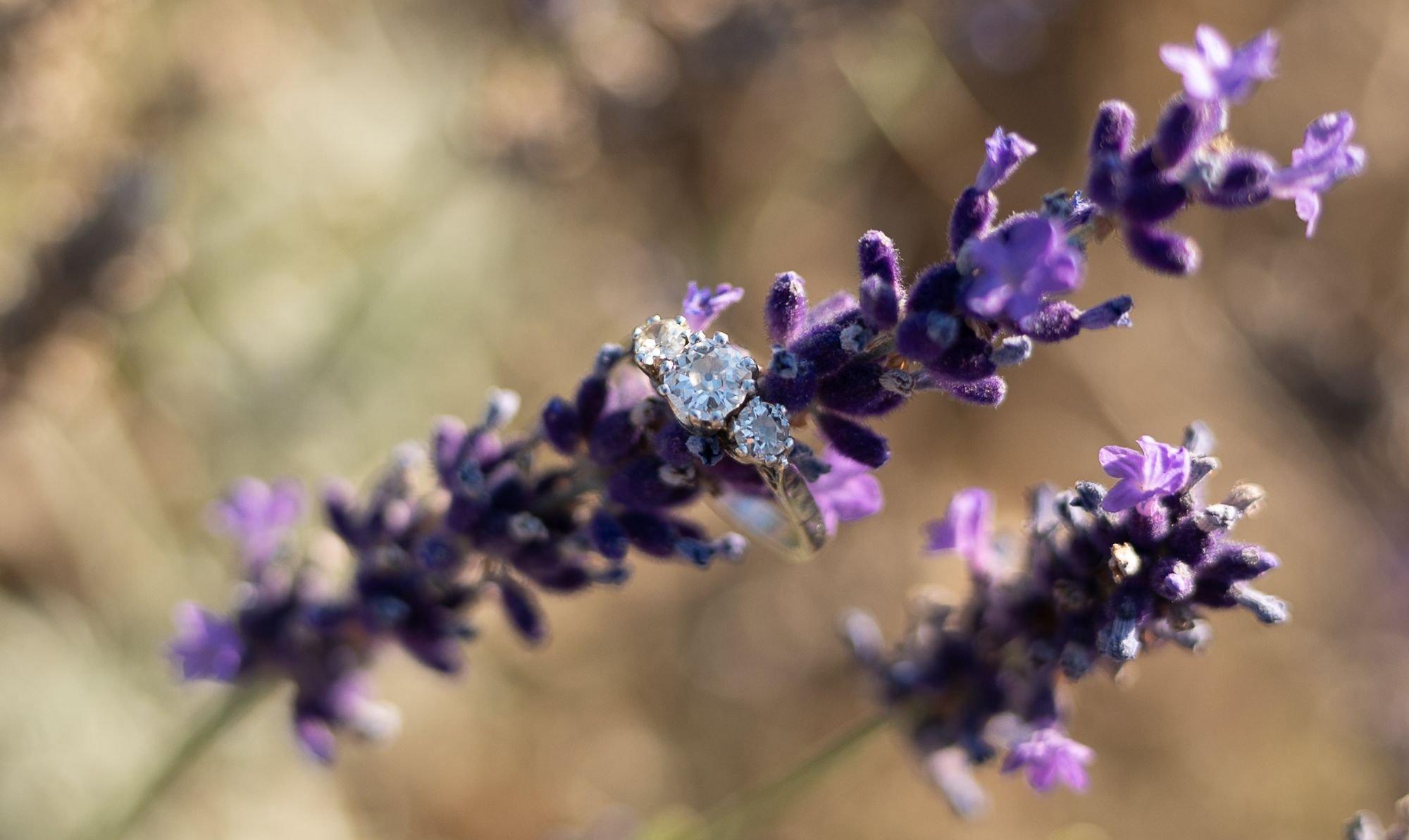 carousel-hero-element image-5