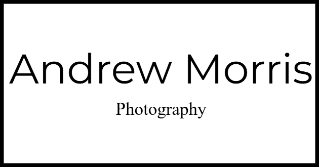 footer-logo